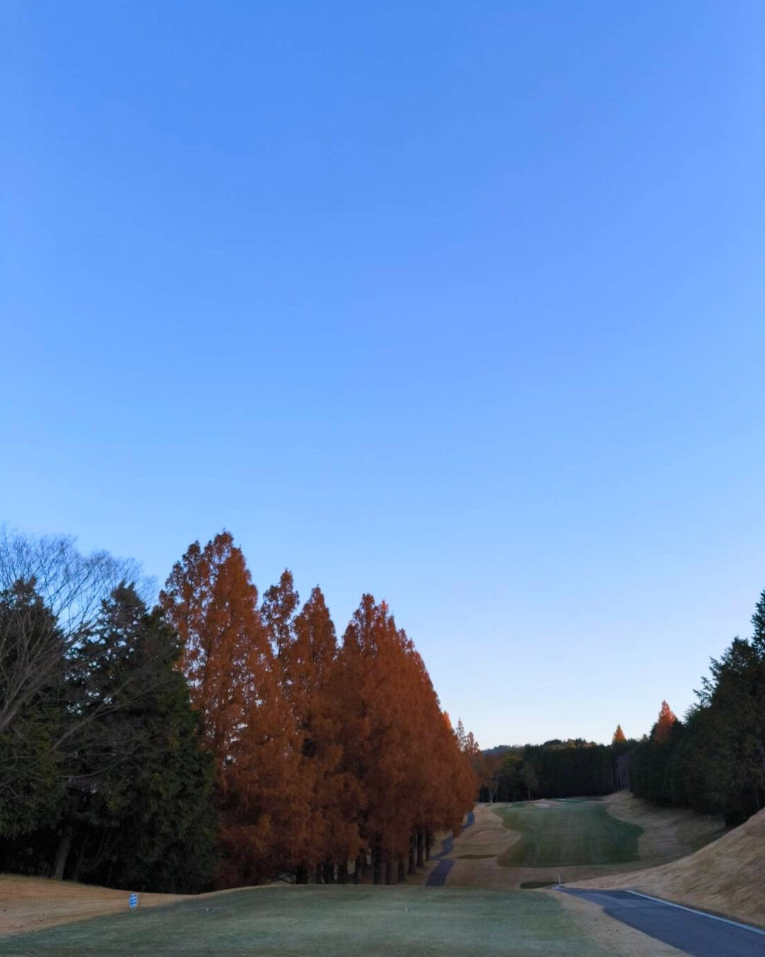 初めて行ったPGM池田ゴルフコースで感じた紅葉の美しさは格別
