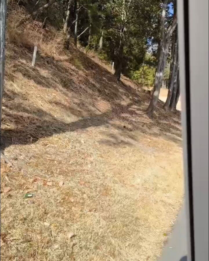 PGM池田カントリークラブに行ってきました