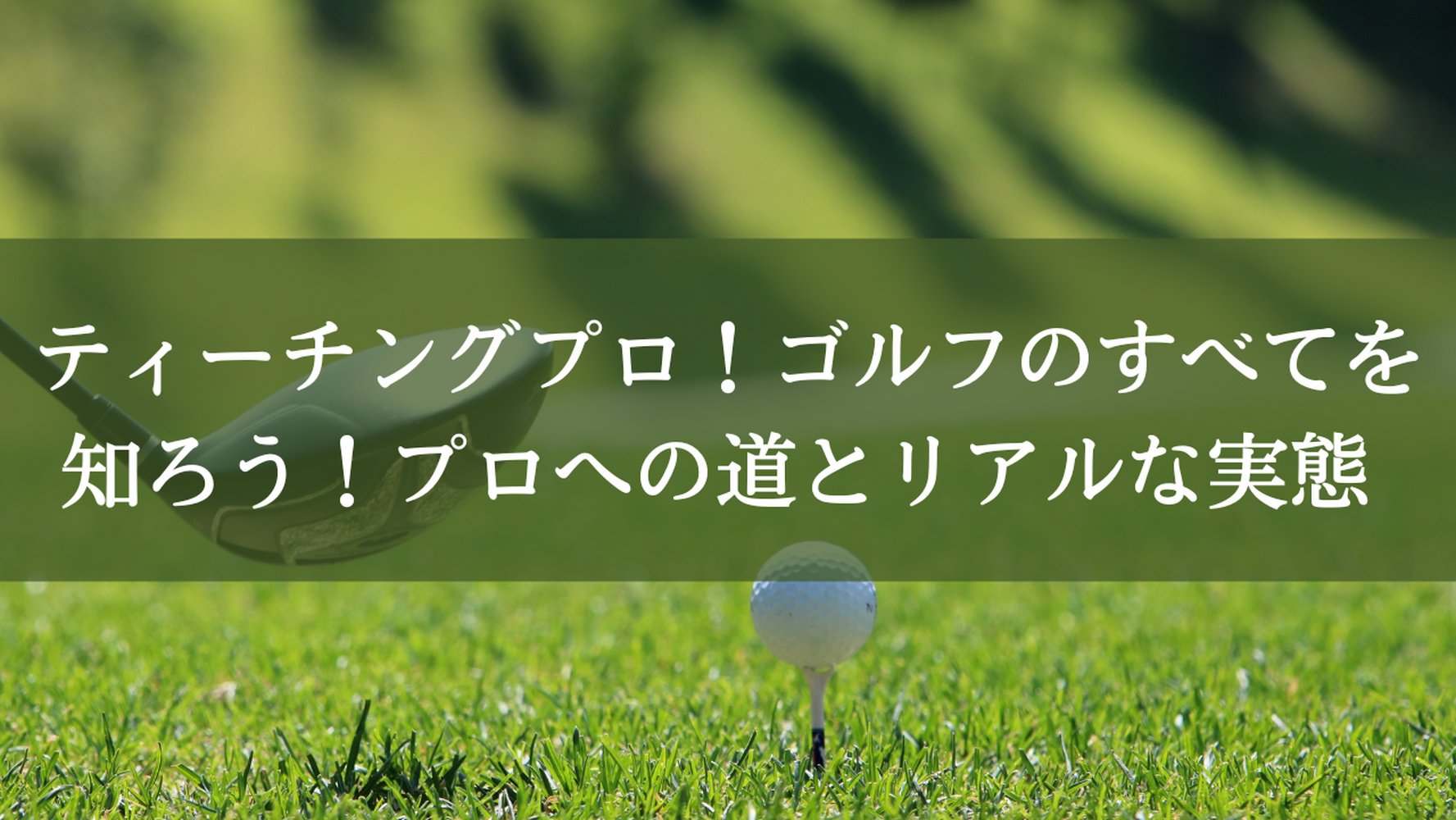 画像2994